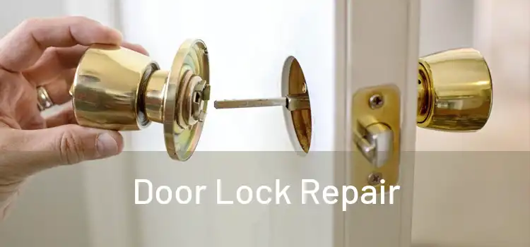 Door Lock Repair