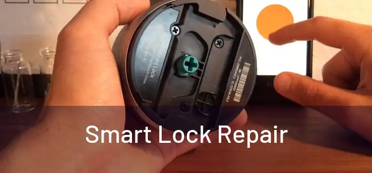 Smart Lock Repair